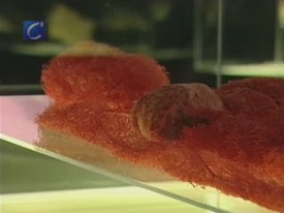 Exposición "Erase una vez... el cuerpo humano"
