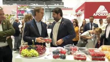 Feijóo pide normativa fiscal de la UE para el sector agroalimentario español