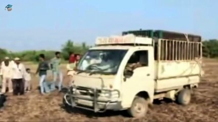 فيديوهات مؤلمة _ حيوانات تطلب المساعدة من البشر