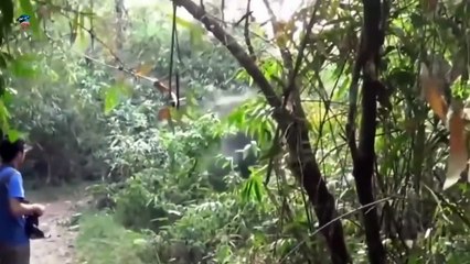 حيوانات تهاجم البشر الفيديو المطلوب _4