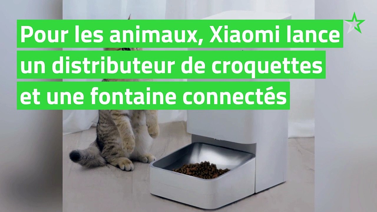 Pour les animaux, Xiaomi lance un distributeur de croquettes et une fontaine connectés