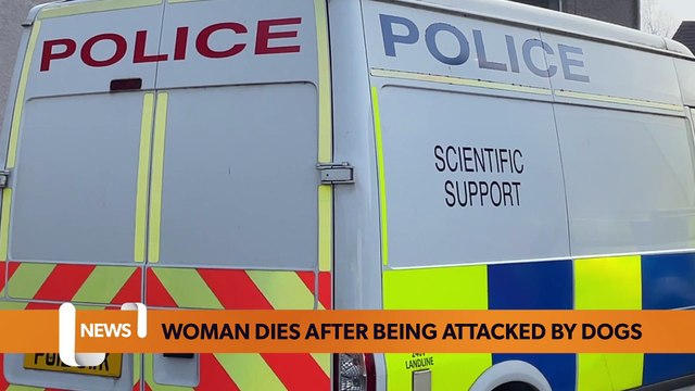 Arrest after woman killed in dog attack - LiverpoolWorld news bulletin