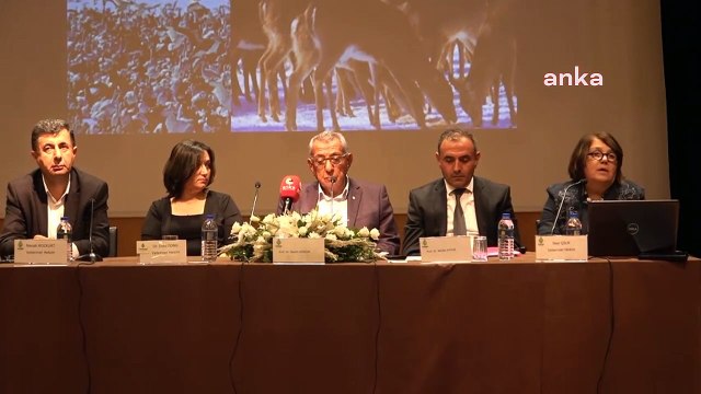 Veteriner Hekimler Derneği Genel Başkanı Gülay Ertürk: Sahipsiz sokak hayvanları, ilk 10’a girebilecek bir sorun ülkemizde