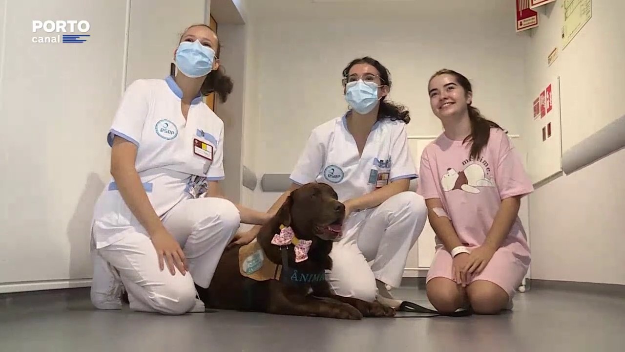 Crianças da ala pediátrica do São João recebem visitas dos animais de quatro patas