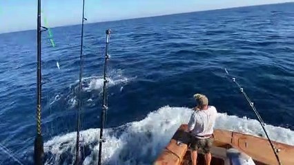 Blue Marlin Weighing Almost A Half-Ton Caught Off Virginia