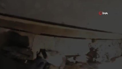 Sahil güvenlikten hayvanları koruma günü hassasiyeti