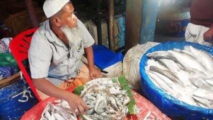 Visiting Hilsha Fish Market