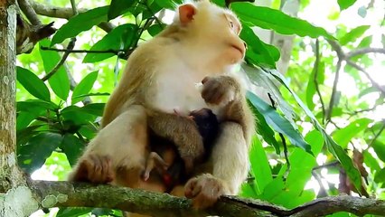 Rainbow angry scare - Why take me laydown.