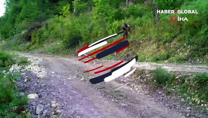 Acı bal yiyip bayılan "Balkız"dan haber var!