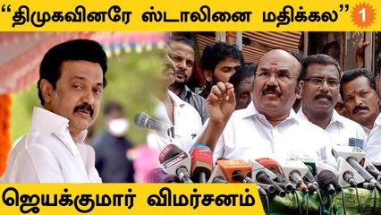 திமுகவின் அடாவடி கண்டிப்பாக தொடரும் - ஜெயக்குமார்