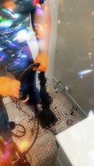 Drain Clog Fix in King of Prussia 🚿