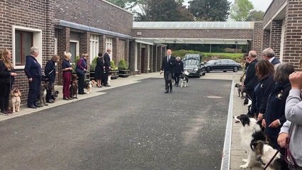 'Special' Waterlooville dog trainer, 42, given emotional send-off at funeral including guard from man's best friend