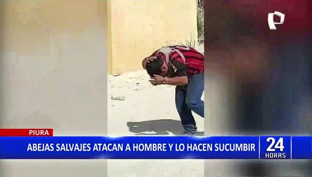 Piura: hombre fue atacado salvajemente por enjambre de abejas
