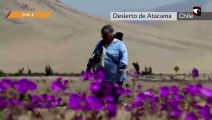 El presidente anunció la creación del  Parque Nacional Desierto Florido