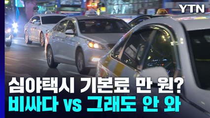 심야 택시 기본료 만 원?..."비싸다 vs 그래도 안 온다" / YTN