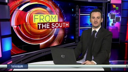 South Africa: New avian flu strain hits penguin colony