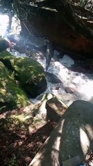Moradores do Garça 3 em Umuarama voltam a reclamar do mau odor causado por despejo de esgoto