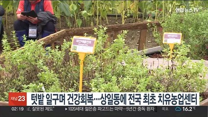 텃밭 일구며 건강회복…상일동에 전국 최초 치유농업센터