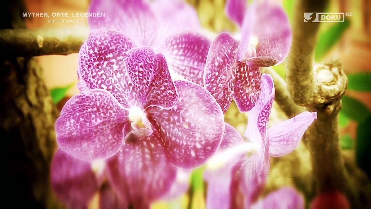 Mythen, Orte, Legenden Staffel 1 Folge 4 HD Deutsch