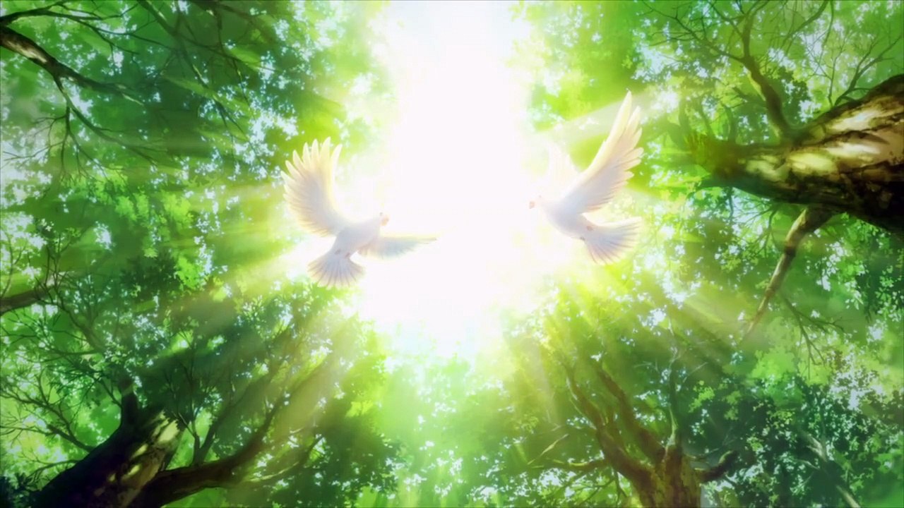 Forest of Piano Staffel 1 Folge 9 HD Deutsch