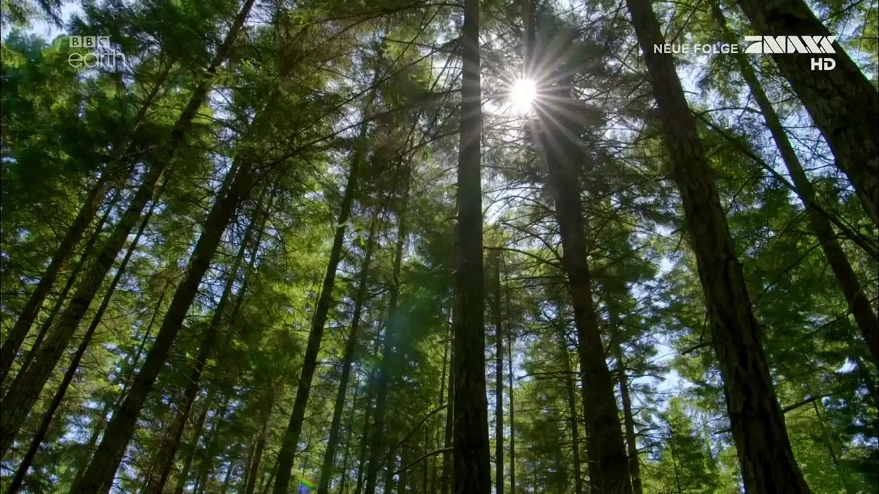 The Big Catch Staffel 1 Folge 5 HD Deutsch