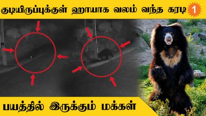 Kotagiri-ல் இரவு நேரத்தில் குடியிருப்புக்குள் வலம் வரும் கரடி  Tamilnadu