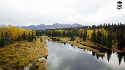 Travel to Alaska _  الاسکا دیکھیں