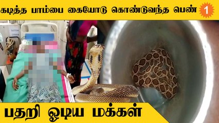 Rasipuram-ல் தன்னை கடித்த பாம்புடன் Hospital-க்கு  சிகிச்சைக்கு வந்த பெண்
