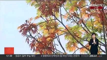 [날씨] 전국 흐리고 곳곳 '비'…종일 선선