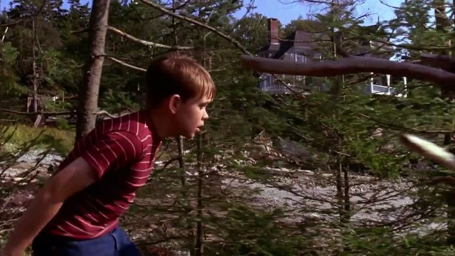 L'Homme sans visage Bande-annonce (EN)