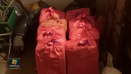 tn7--Descubren bodega narco con casi 300 kilos de droga en Guanacaste-041022