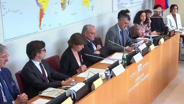 Commission des affaires étrangères : Mme Catherine Colonna, ministre de l’Europe et des affaires étrangères - Mardi 4 octobre 2022