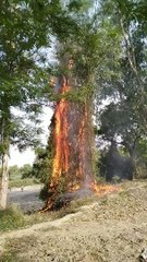 प्रचण्ड महाकाल का रूप ( 1080 X 608 )