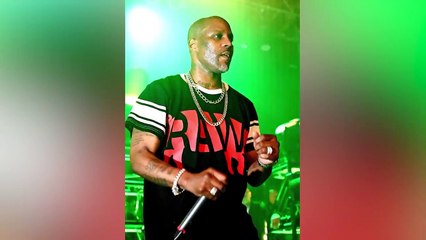 What Most People Don't Know About DMX