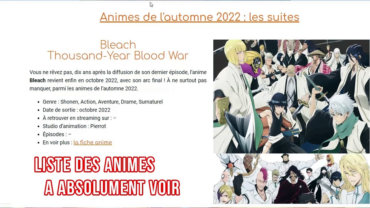Bleach : Le nouvel arc va être sanglant ! | UPD...