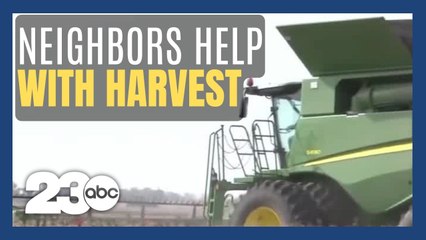 Neighbors help injured farmer bring in crops
