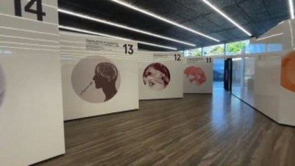 Fondazione Prada, multidisciplinarietà per salvare il cervello