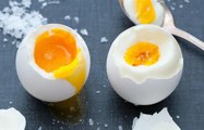 Yumurta nasıl yapılır? Yumurta kaç dakikada haşlanır? Yumurta çok kaynatılırsa ne olur? Kayısı kıvamında yumurta kaç dakika pişirilir?