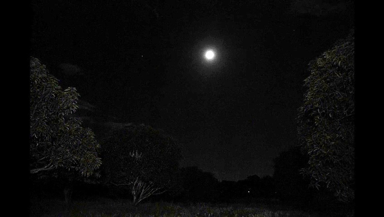 A Tale Of Filipino Violence Trailer OmeU