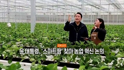 [사진구성] 물가 상승폭 두달째 꺾였지만…배추 95%↑·외식비도 '껑충' 外