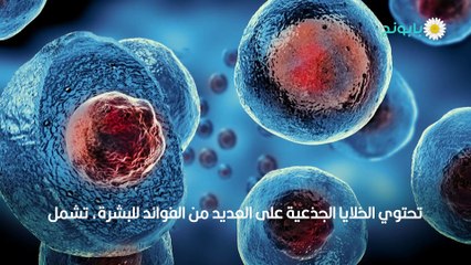 فوائد الخلايا الجذعية للبشرة (1)