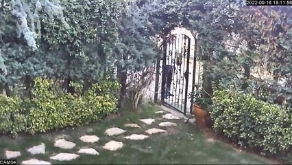 (Düzelterek yeniden)Sarıyer'de komşuların park yeri anlaşmazlığı, aracı çekiciye yükleyip götürmüş