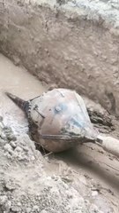 Amazing help fultgajet amazing idea new technology video @amazingtechnologyno1 (22)