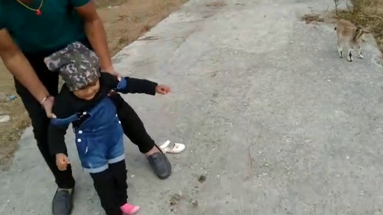 Shreya playing with Goat II Making Fun II Enjoying with this little goat baby II Remember our little old memory Guyz II Enjoying this fun video II masti fun loving baby shreya enjoying her bachpan with full of energy II II