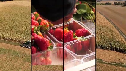 "Il Gusto della Salute": Il miele