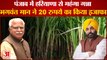 Haryana Government Plan To Increase Sugarcane Prices After Punjab|पंजाब में हरियाणा से महंगा गन्ना