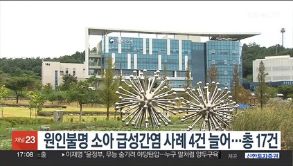 원인불명 소아 급성간염 사례 4건 추가…총 17건