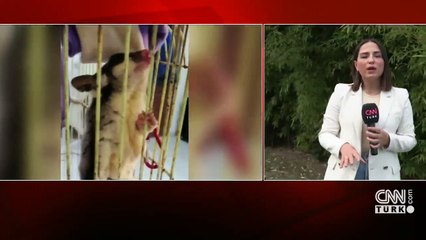 Satışı yasak 2 uçan sincap kurtarıldı