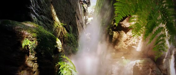 La scuola degli animali magici 2 (Trailer Originale HD)