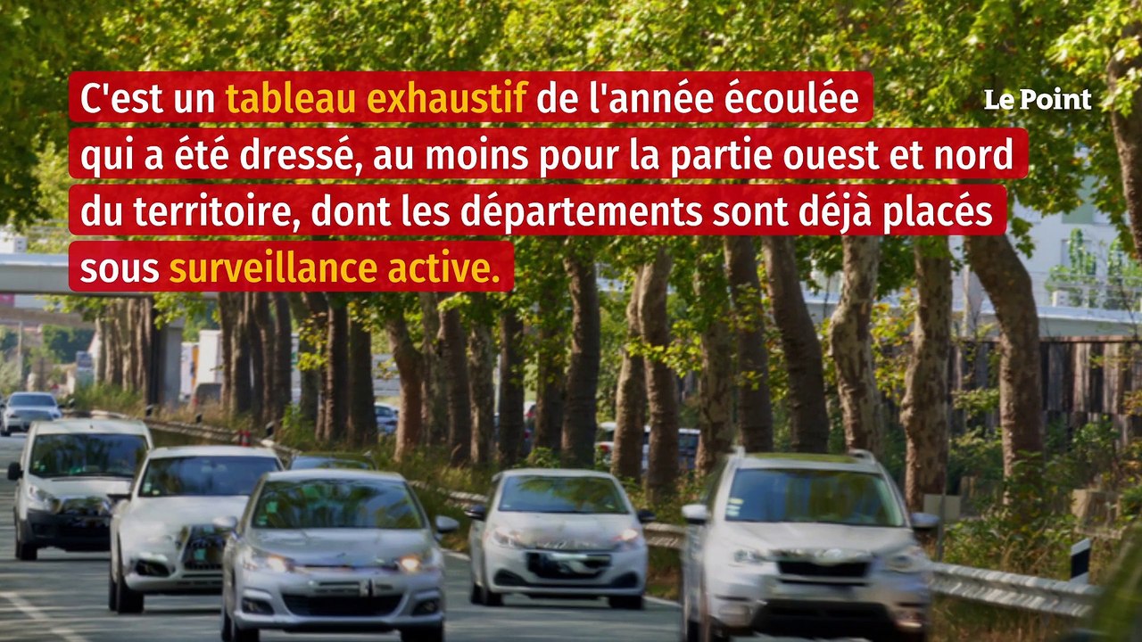 La belle moisson de PV des voitures radars privées